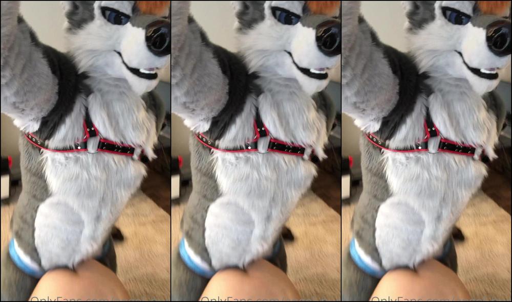 Angel Pups 146126165 I Can T Get Enough Of This Vixen 03 Dff75D3F B0C4 4D57 A606 3E8C90Df2Ad7