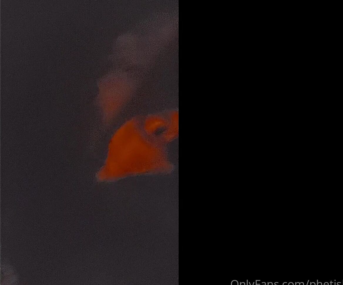 Phetish Sucking Dick In The Car Because The Restaurant We Went To Wasn T Excepting Dine In I Was