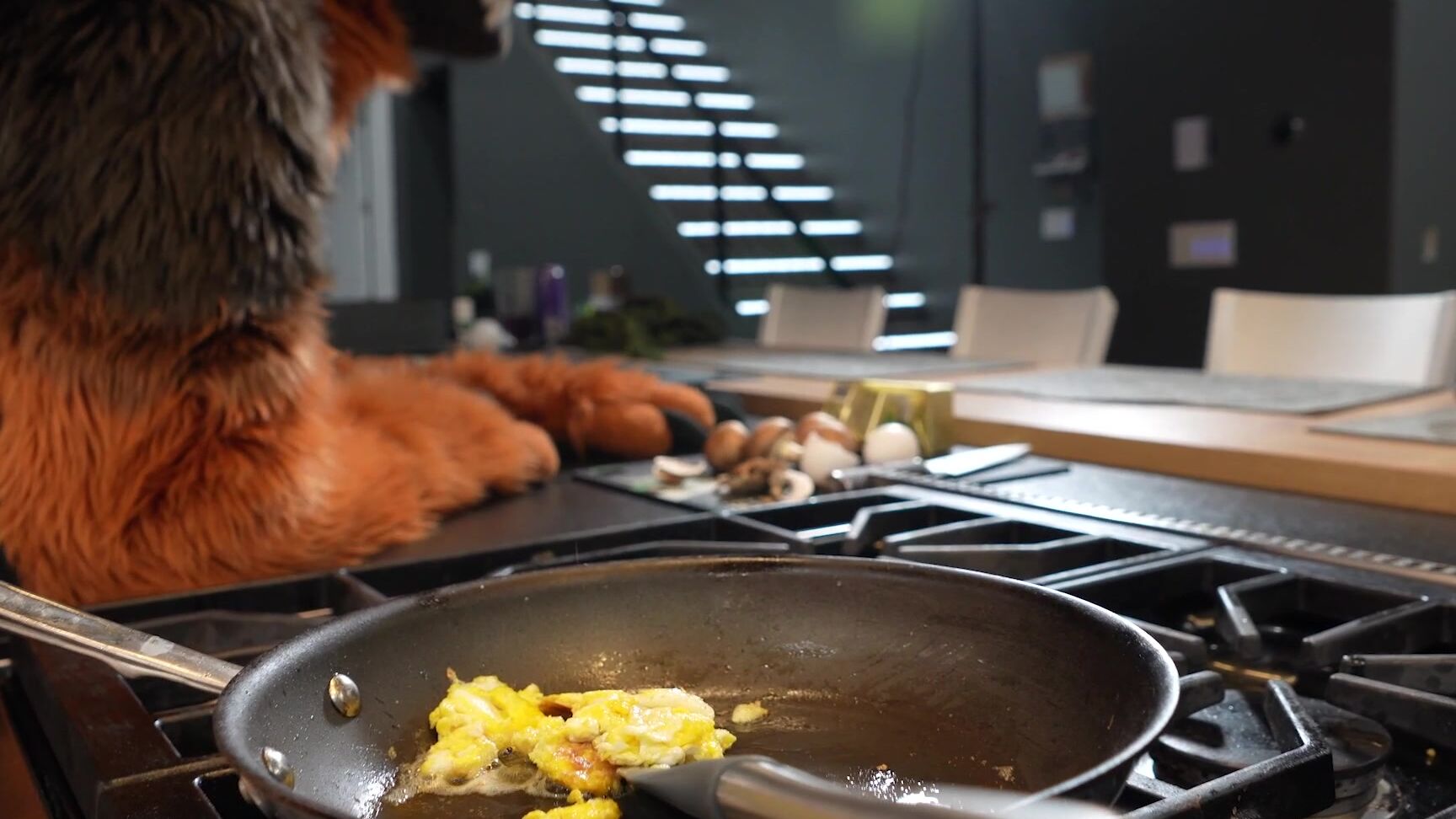 Palacewolf 532721501 Ringer Was Cooking Me Up A Treat In The Kitchen But I Had S 01 5Dcf75Bd 6207 47D1 A982 A1Ecd99Ae0Aa