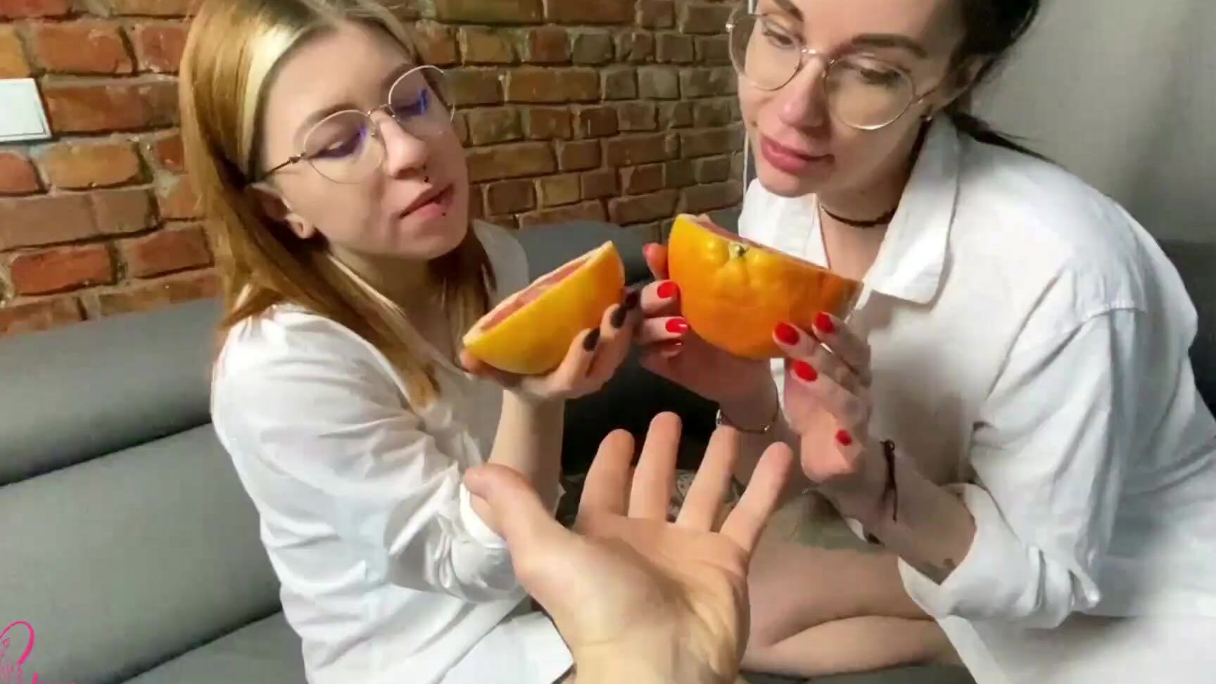 Chihuahuasu Najlepsze Lesbijskie Show Chihuahua I Divineve