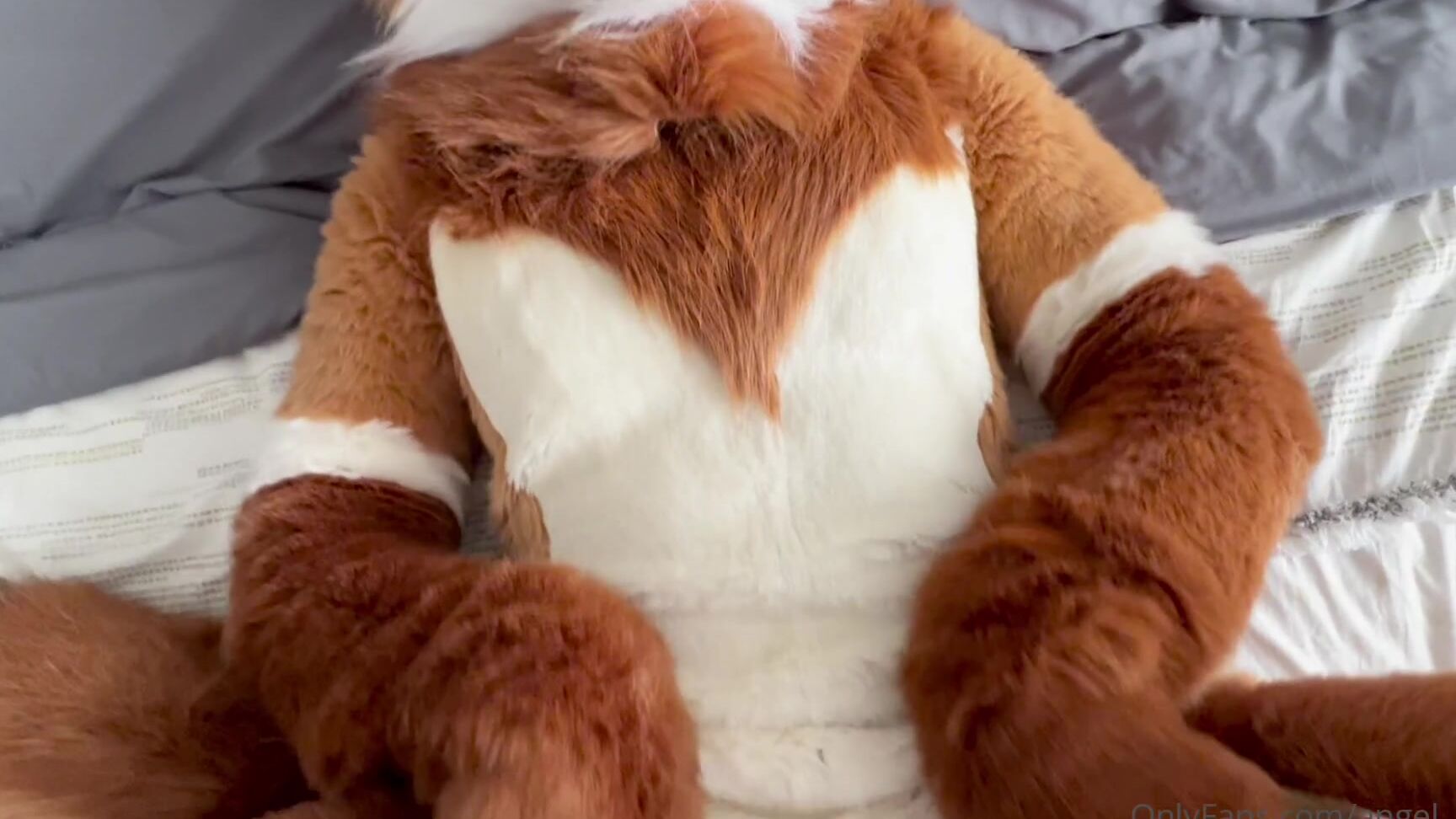 Angel Pups 635800386 Some Good Old Vixen And Wolf Loving 01 9E6E4308 6734 4Cc9 87B0 13A6655A6676