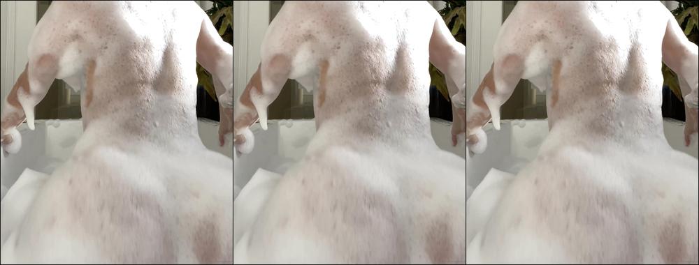 Veronicaperasso 158989056 02 24 2020 New Video Trying Anal Check Your Messages