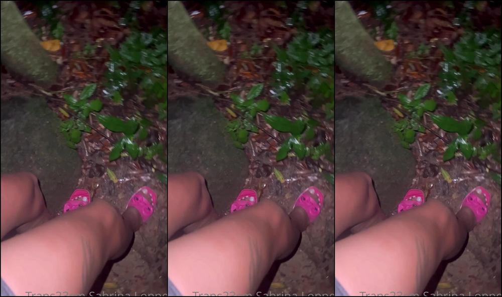 Trans23Cmreal 2811671681 03 21 2023