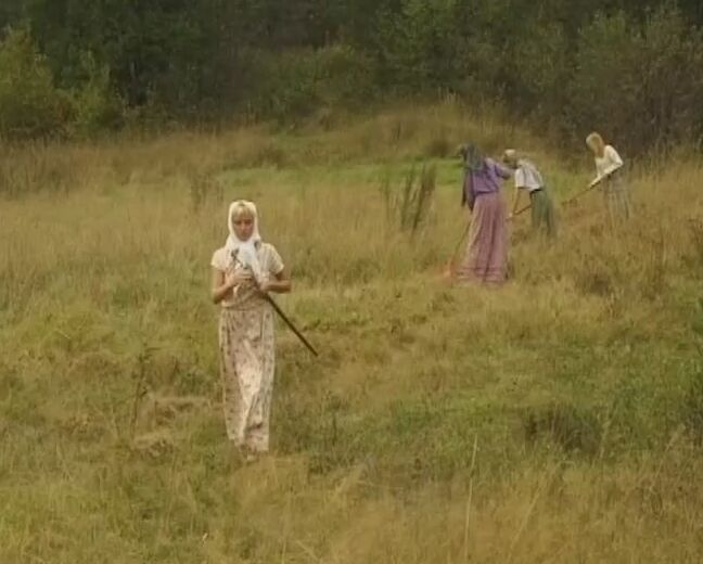 Vignettes, Amateur SPComany) SiteRip