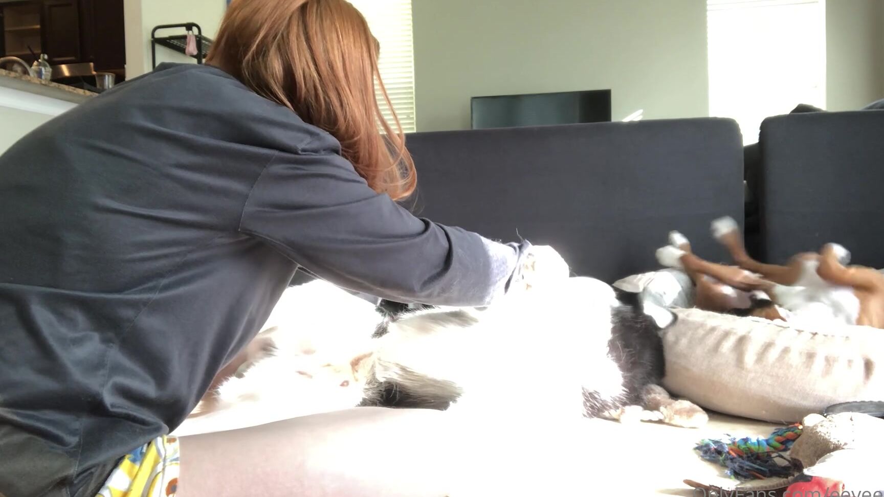 Eevee Bee Just A Cute Morning Video For You All I Hope You Enjoy Have A Wonderful Weekend As We