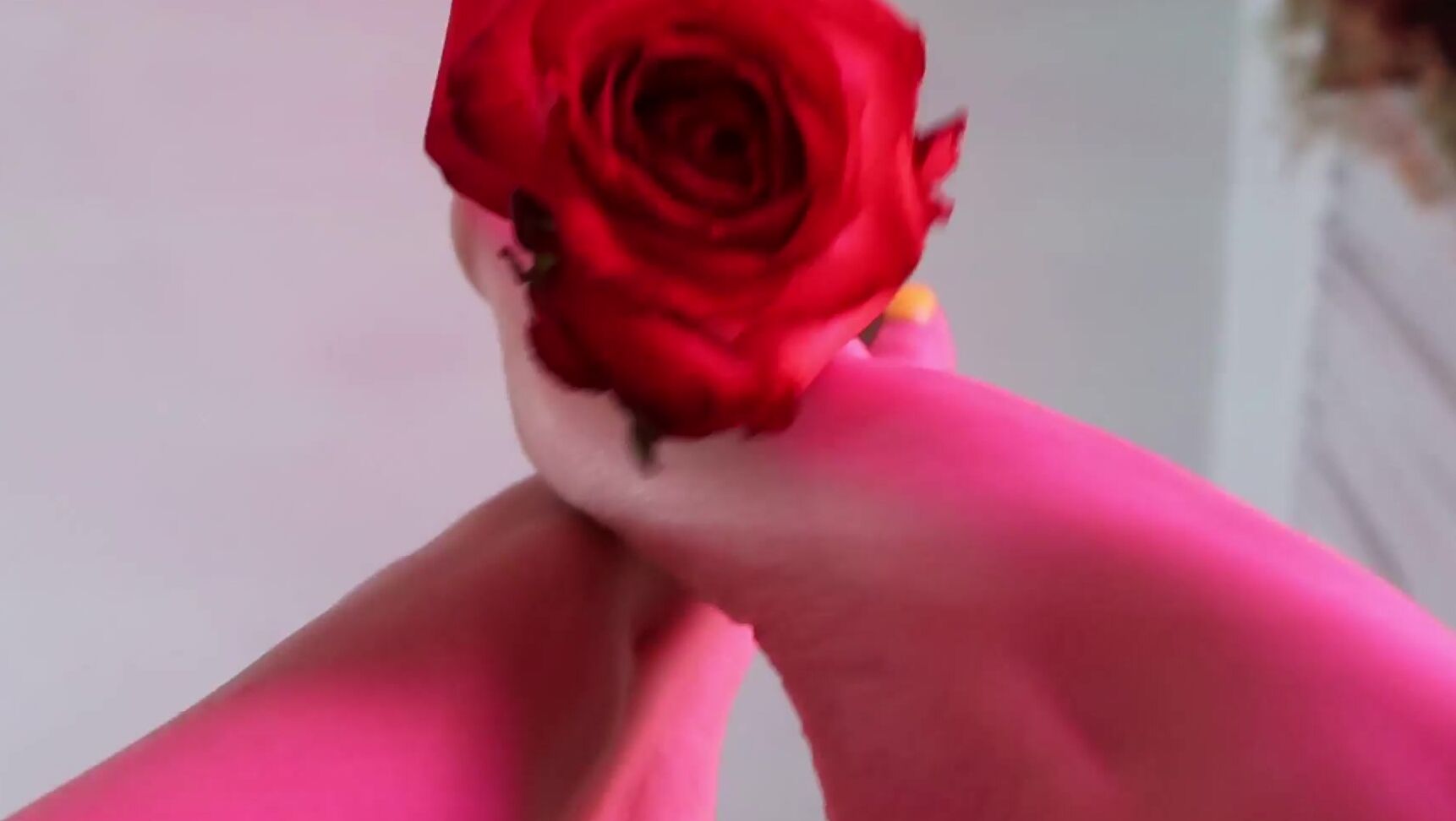 audrey-06-11-2019-80788502-rose-in-my-toes.