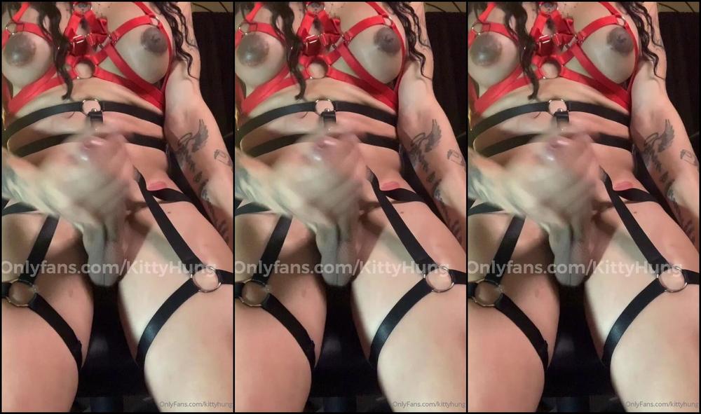 Kittyhung Want To Help Me Stroke It