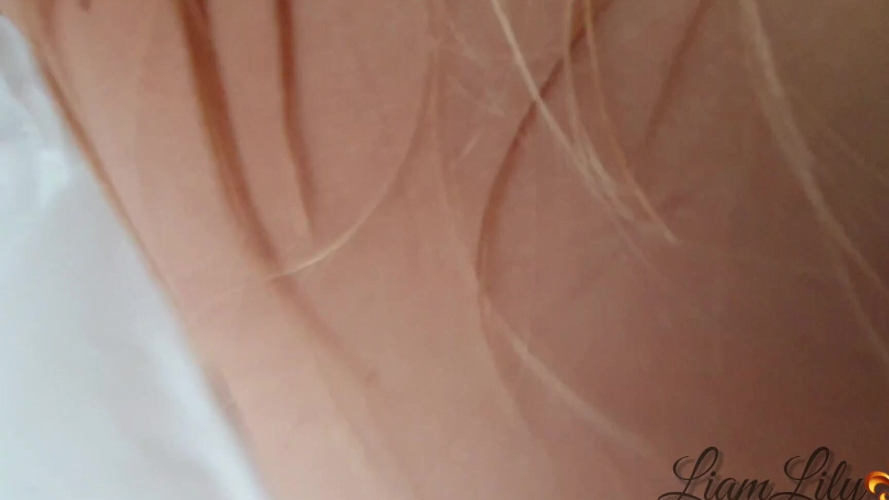 LiamLily Roommate fucked and recorded Pornhub