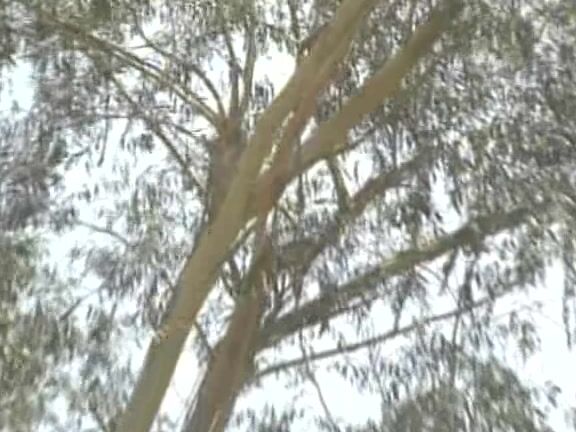 naturism, nudism Naked USA Vol 1 California Heritage Video