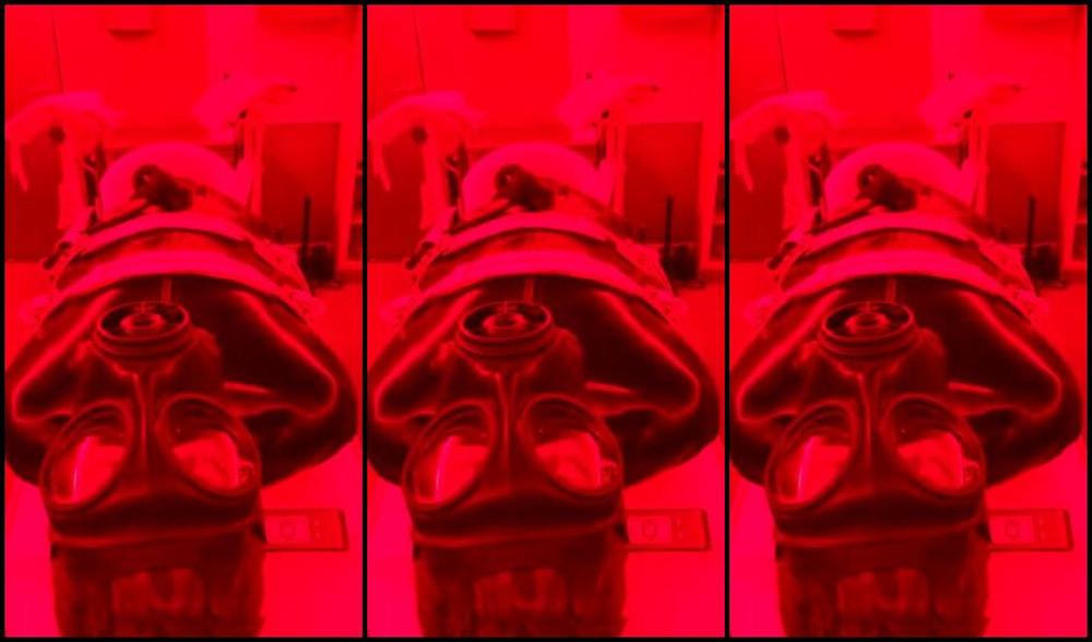 Vivienne L Amour Aka Vlproductionsuk Onlyfans Stream Started At 03112019 0958