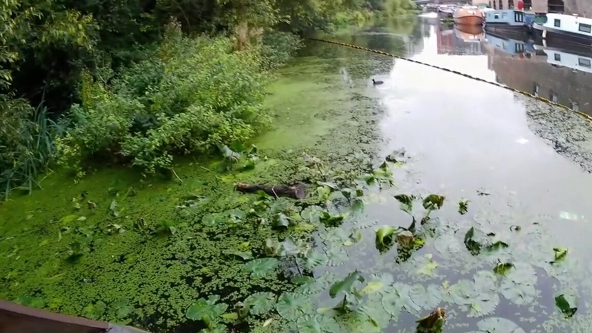 Miss Fair Trade Feet Nicknamed Fairtradefeet Onlyfans 01 02 2024 Miss Fair Trade And Arche Du Triomphe Making Their Feet Dirty