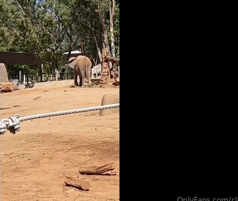 Clca69 2647142125 10 30 2022 Safari Zoo Really Cool To Explore What It Would Be Like To See The Wild Animals