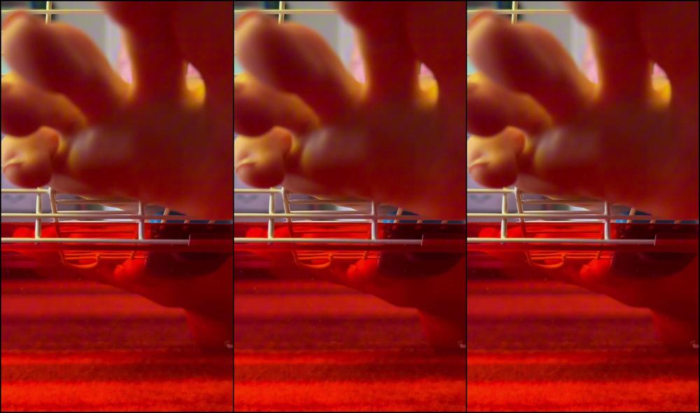 Goddesstalltasha 3425022749 08 01 2024 Giantess Tasha Comes Home To Her Pet Has Her Worship Her Giant Feet Before Eating Them