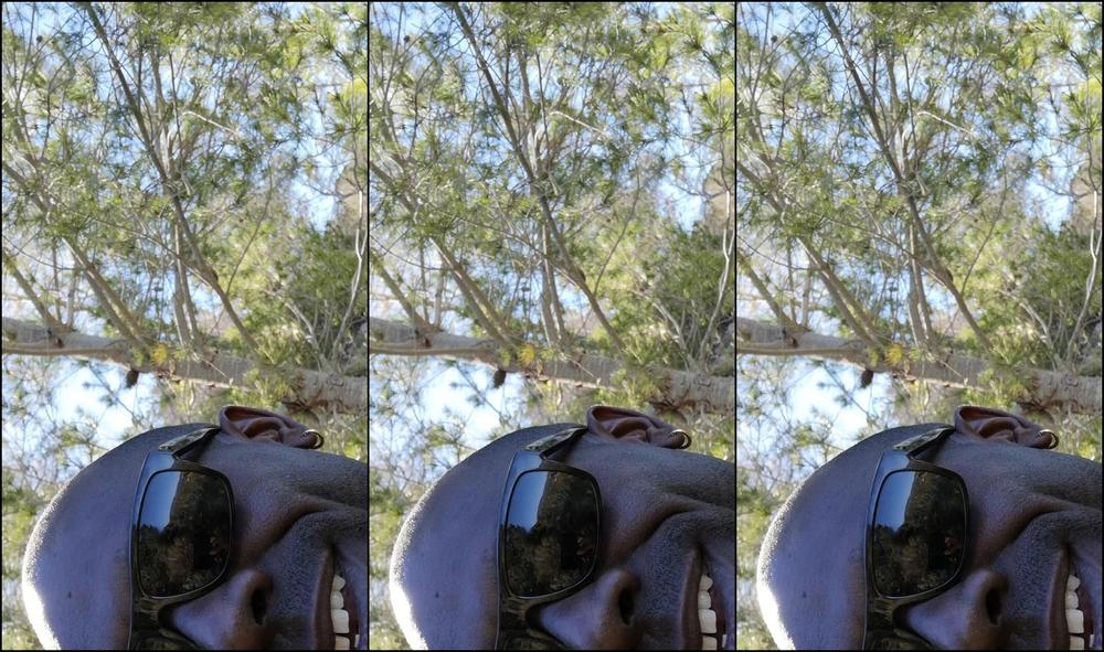 Josslescaf Let S Being Naked In The Forest On My Https Is Gd Lhlxu Me Together