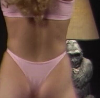 Porsche Lynn Hard Rockin Babes Dance 1987