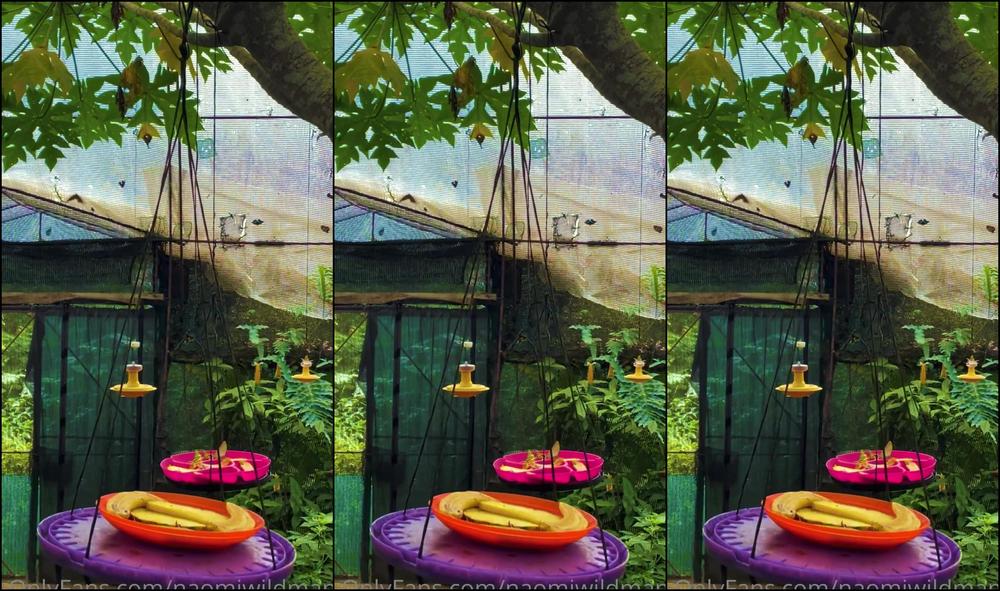 Naomiwildman Just In Case You Needed To See Something Beautiful On Your Sunday This Is A