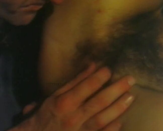 "Cristine Manon, Caroline Laurie, Susan Turner, Vanessa Sham, Jean-Pierre Armand, Roberto Malone, Christoph Clark, Rocco Siffredi" Orgy, Anal, DP, Classic, Feature La perdizione di Ajita SiteRip