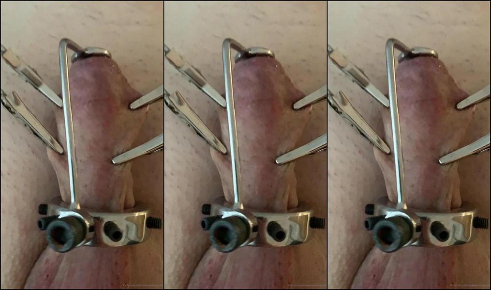 Lady Dark Angel Oh I Do Have Lovely Ideas On How To Be Sadistic This Was After The Nails And Crocodile Clips