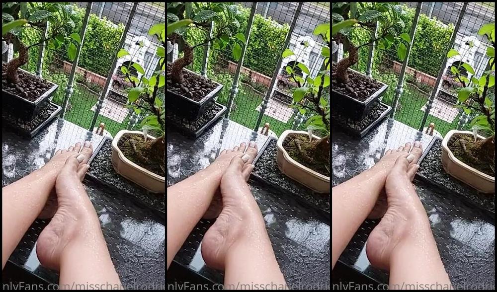 Miss Chanel Rodriguez Nicknamed Misschanelrodriguez Onlyfans Oggi Non Ho Saputo Resistere All Idea Di Farmi Accarezzare I Piedi Dalla Pioggia Che Scendeva