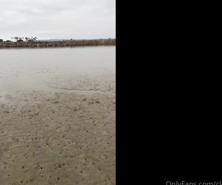 Clca69 3017898208 12 03 2023 Love The New Surprises At The Beach Hanging Out With Tofu At The Dog Beach
