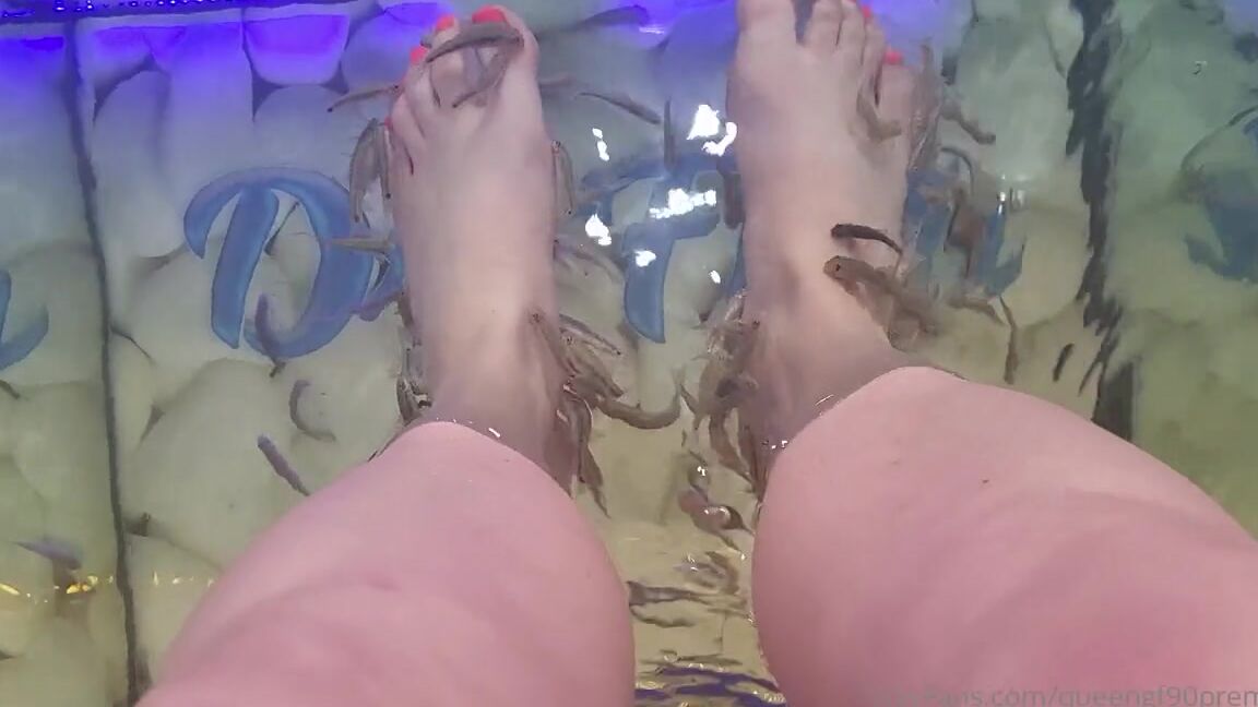 The Foot Queen Of England Aka Queengf90Premium Onlyfans This Is A Weird Feeling Has Anyone Else Done This Apparently The Fish Love