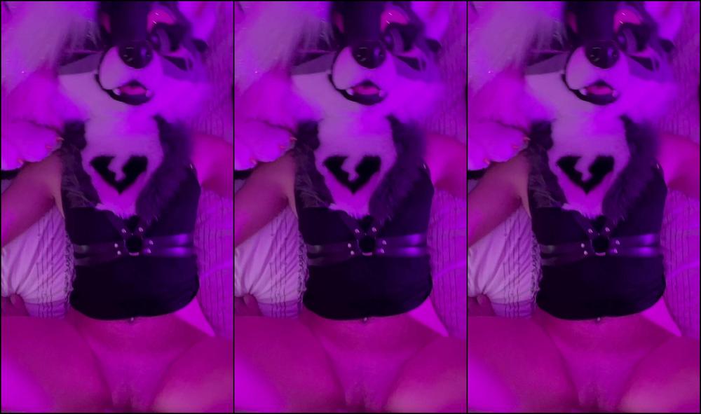 Angel Pups 948689187 Don T Pull Out You Dummy 01 0Hn40Wjb5Md8A9Bnz1P9L Source