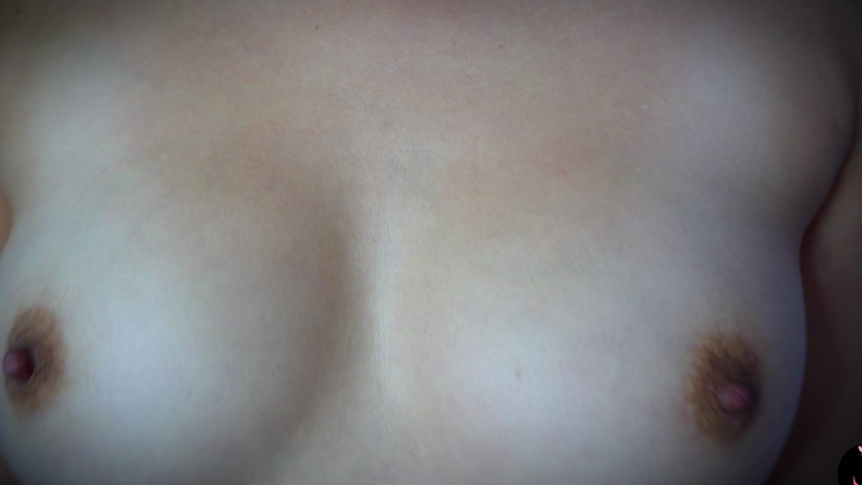 Summer Fox Special Joi For Joseph