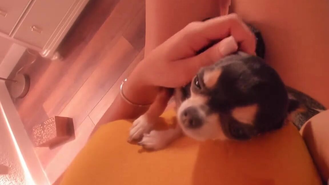 Missbella Onlyfans Stream Started At 03142020 0545