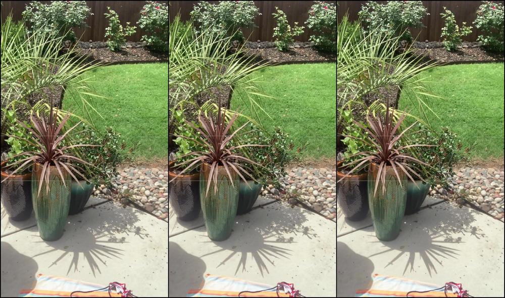 MILF,Bikini,Huge Dildo,Creamy,Solo masturbation sweetvickie bikini modeling and playing with dildo ManyVids