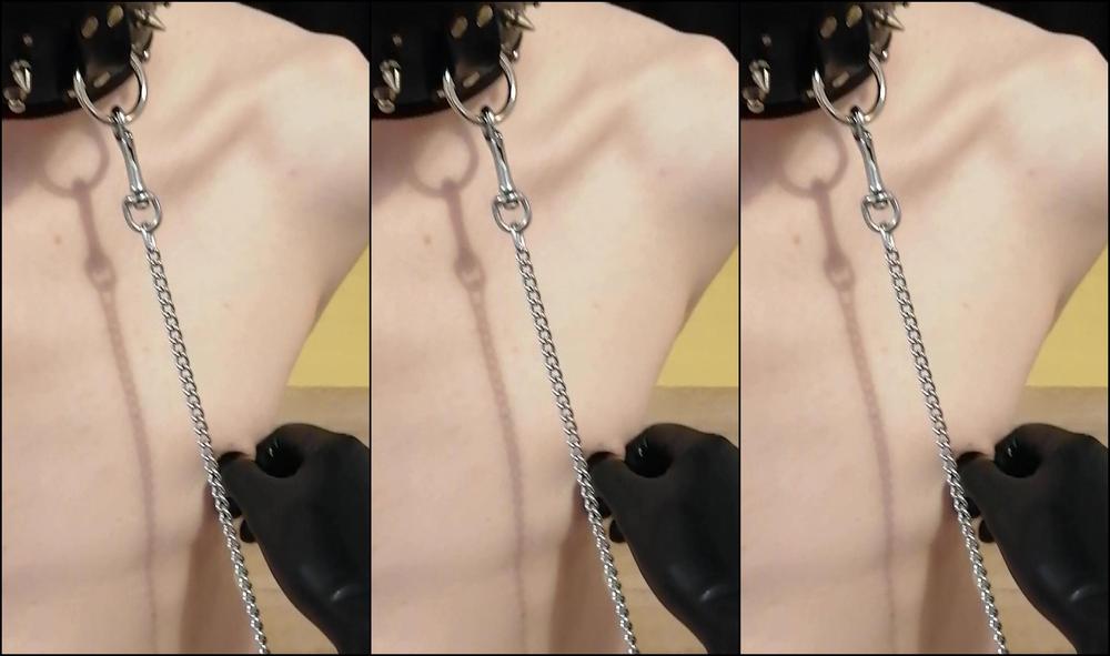 Israelimistress Enjoy Puppies Chastity Bitch Sissytamarka