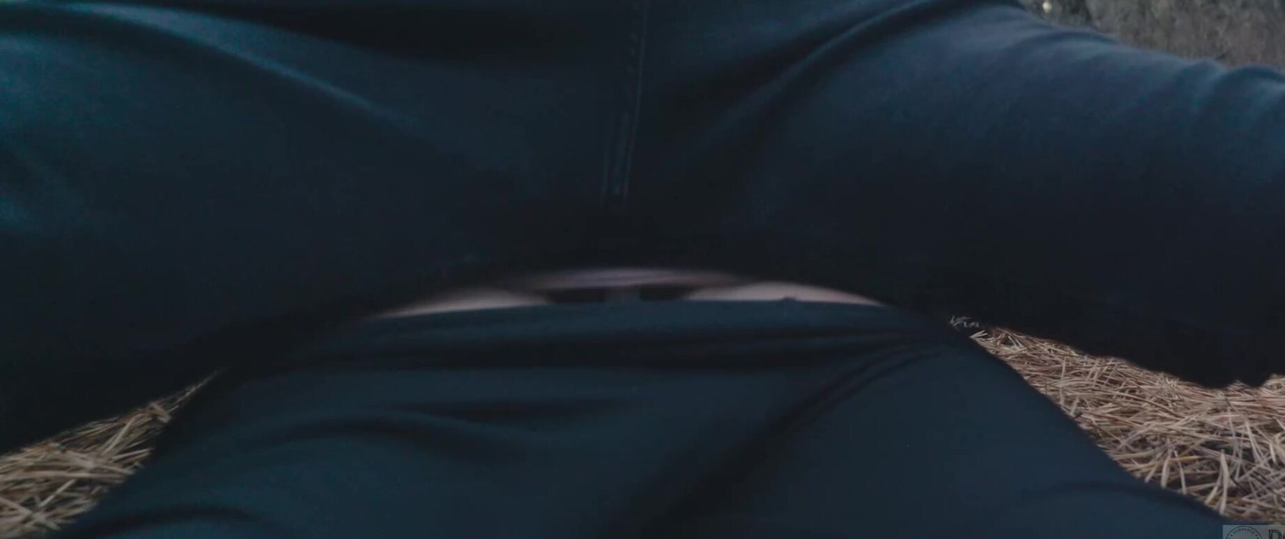 Domthenation Members Upstate Anal