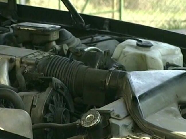 Dbm Teenievision 08 Tv008 Young Generation