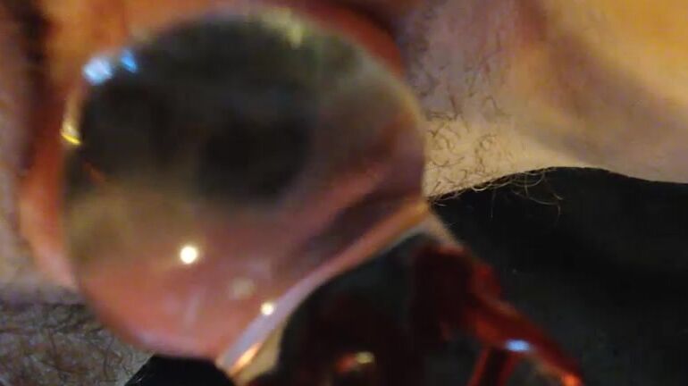 Lulubennie Squirtastic