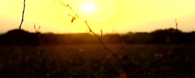 "Mix"  Private Black Label 36, 37, 38 Chateau Trilogy_10 SiteRip