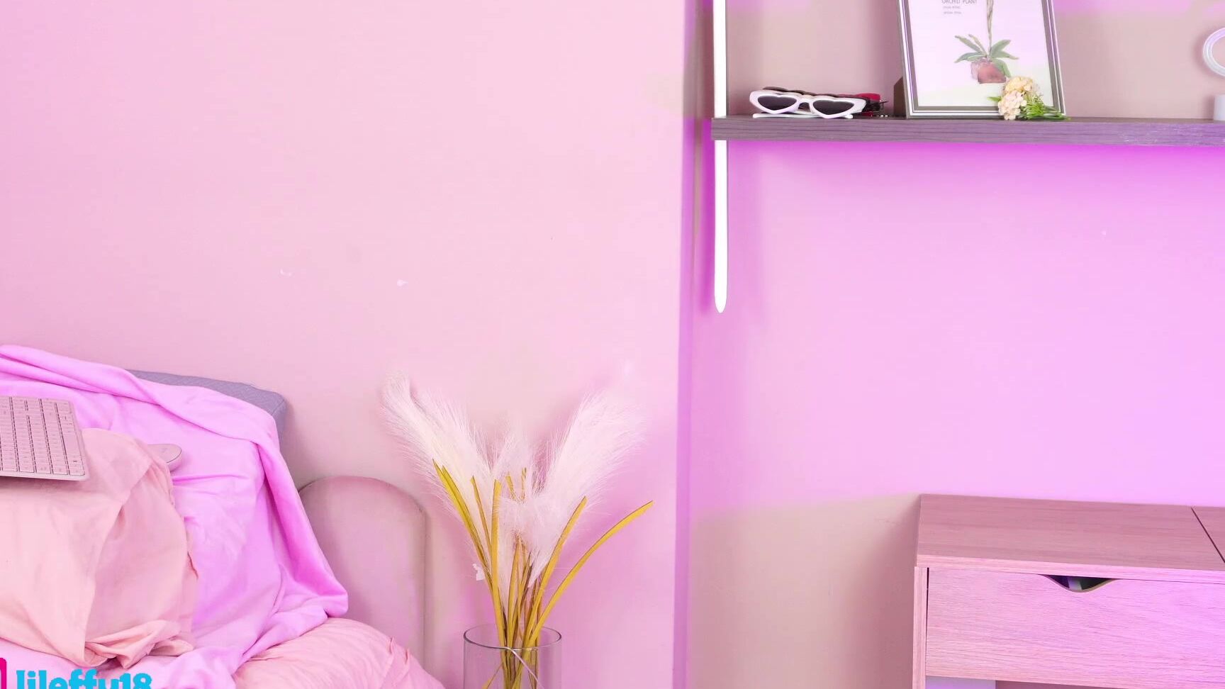 "little effy18" little_effy18__Chaturbate_20241118-234138_003 Web Cam