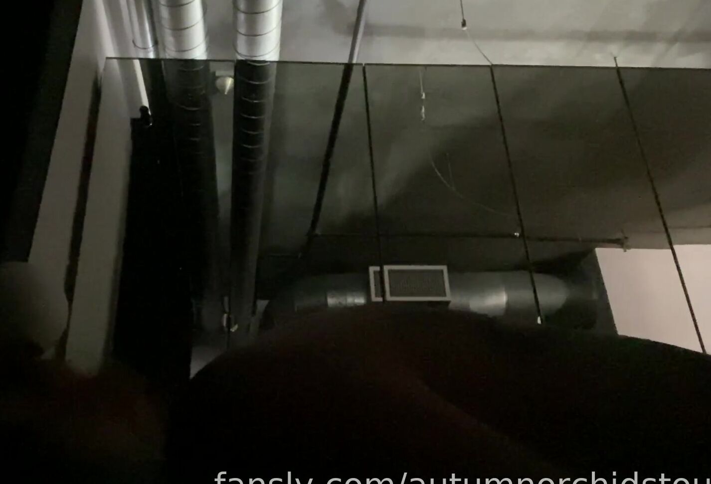 Autumn Orchid 475119901736972288