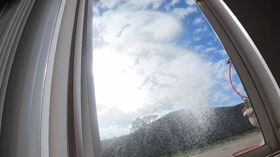 Ivorysoles Onlyfans Unaware Giantess Ivory In Heelsp