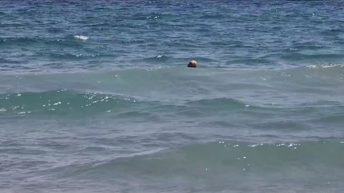 Kathianobilixx Findom 09 04 2022 Onlyfans Video I Hope You Had Amazing Weekend My Darlings I Had Playful Sunday In Waves