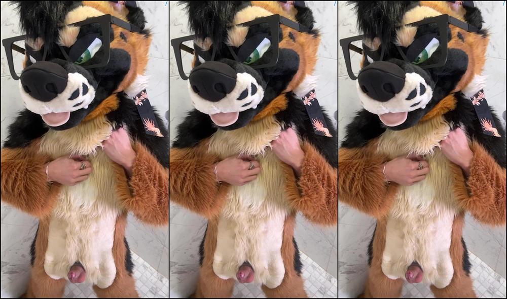 Palacewolf 0Hz14K5Orj07Sfyu3Zhwr 1920