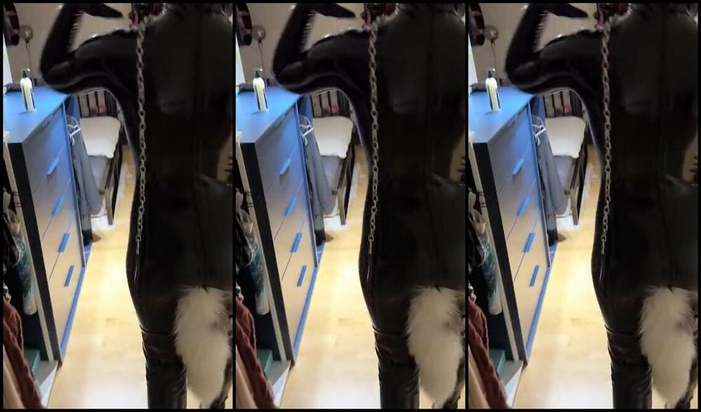 Natallie N Nicknamed Natallien Onlyfans Such A Cute Kitty Right Would You Be My Proud Owner I Ll Be Good