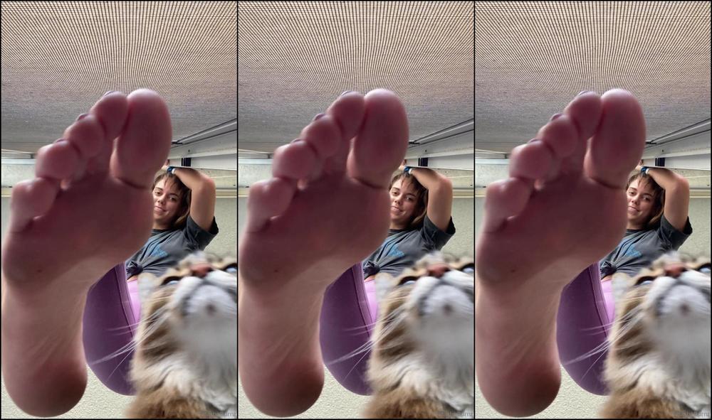 Goddesstalltasha 144579874 02 08 2020 Here S A Fun Little Part Two Everyone Give A Round Of Applause For Pablo For Helping