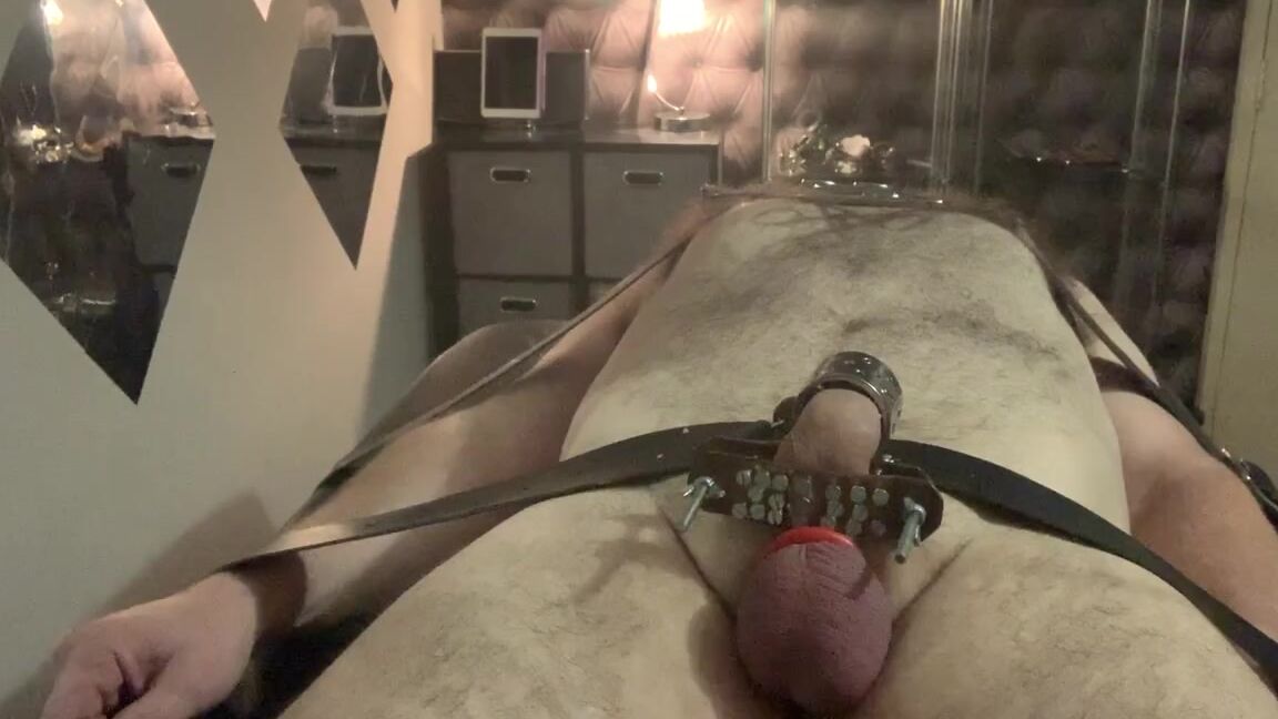 Ladydarkangeluk Onlyfans Video Of A Cock Clamped With Spikes At Top End And Base Then I Use The Cane To Make Some Stripes
