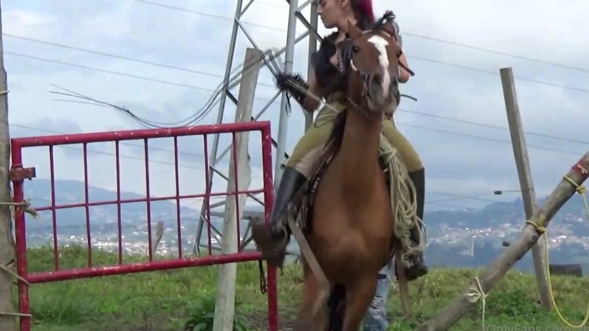 Ghrfan Onlyfans This Is My Absolute Favorite Femdom Genre Elh Equestrian Femdom Ama K Omg The Things That