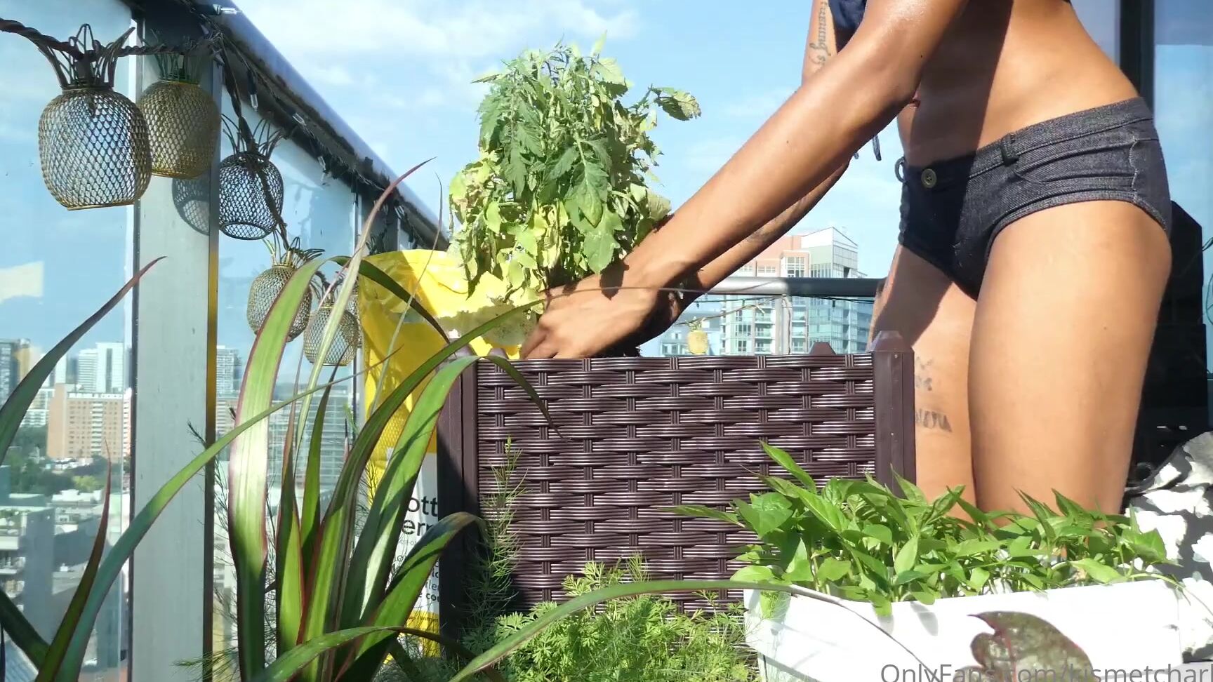 Kismetcharlatan I Built The Planter All By Myself And Finally Repotting My Tomatoes I Really Want To Star