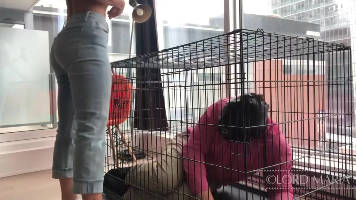 Lord Goddess Maria Onlyfans I Love This Part Of The Afternoon Let Me Tell You How Unsettled This Slave Was After The Cage W 1P