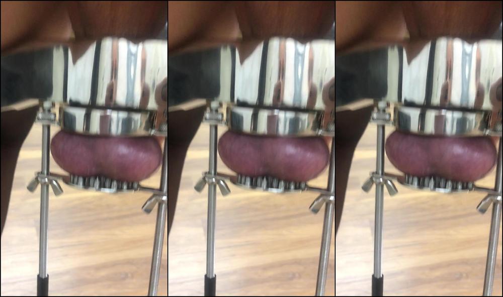 Lady Dark Angel Steel Humbler Clip