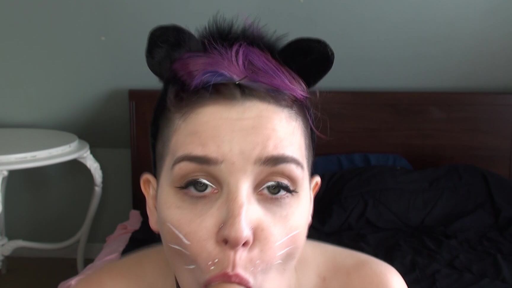 Pet Play, Costume, POV, Blowjob, Blow Jobs rowen oak kitty cat pov hd bj ManyVids