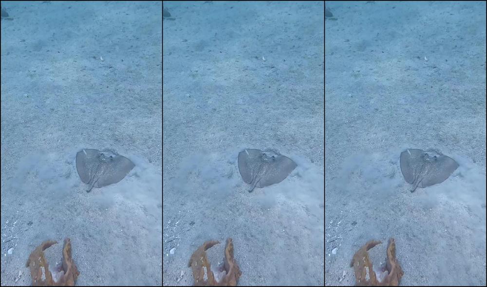 0Hcv7Qodaitv4Spss2Amd Source