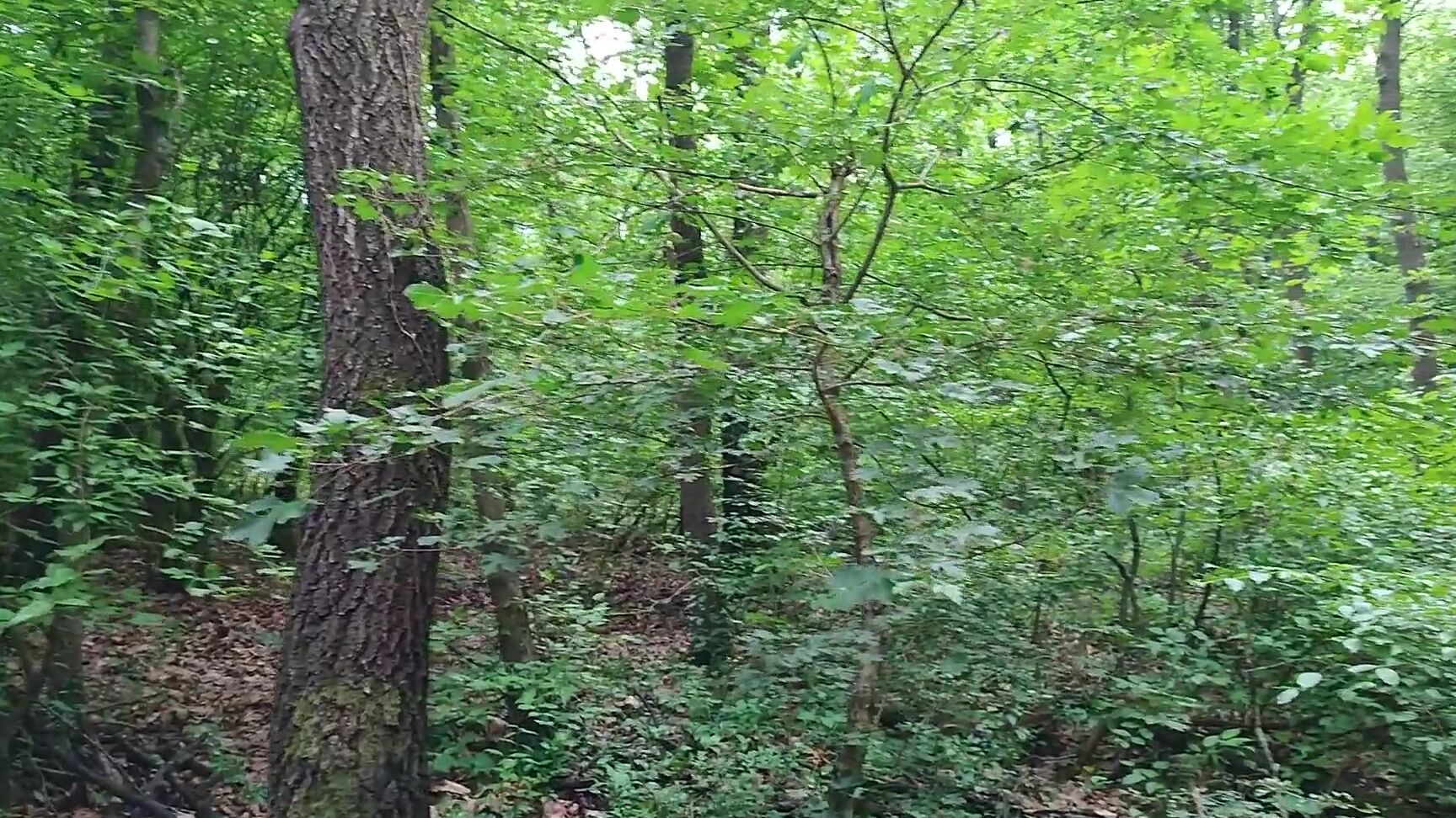 "ShelbyShow" Pov, Outside, Outside Public Sex, Outdoor, Outdoor Blowjob, Risky Public, Forest, Cum In Mouth, Cum Mouth, Blowjob, Amateur Outdoor, Amateur, Verified Amateurs, Amateur Couple, Pov Blowjob, Babe, Suggest ShelbyShow Outdoor Blowjob in the