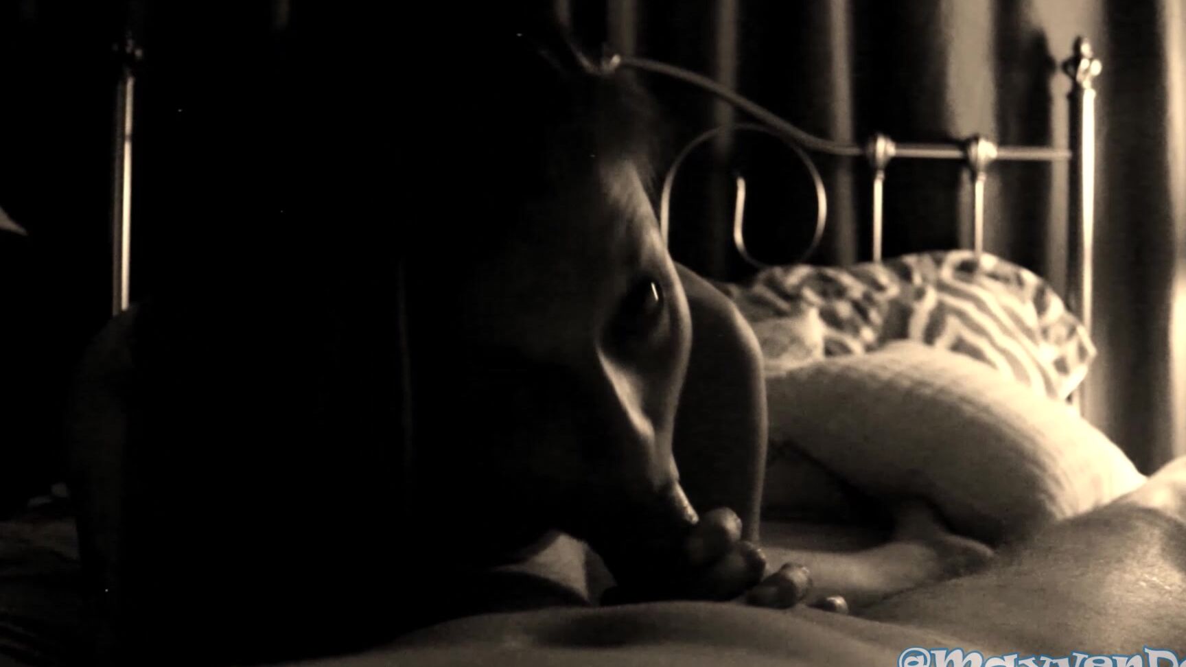 Blow Jobs, Blowjob, Boy Girl, Cumshots, Facials fuckingmilfmay vintage backlit blowjob facial ManyVids